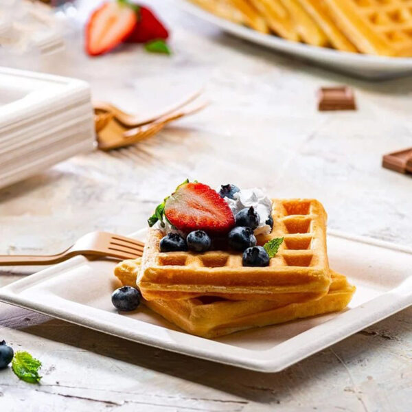 50 pcs Eco-Friendly Bagasse Disposable Food Containers - Heavy Duty Square Plate Natural Brown 20.32cm - Image 4