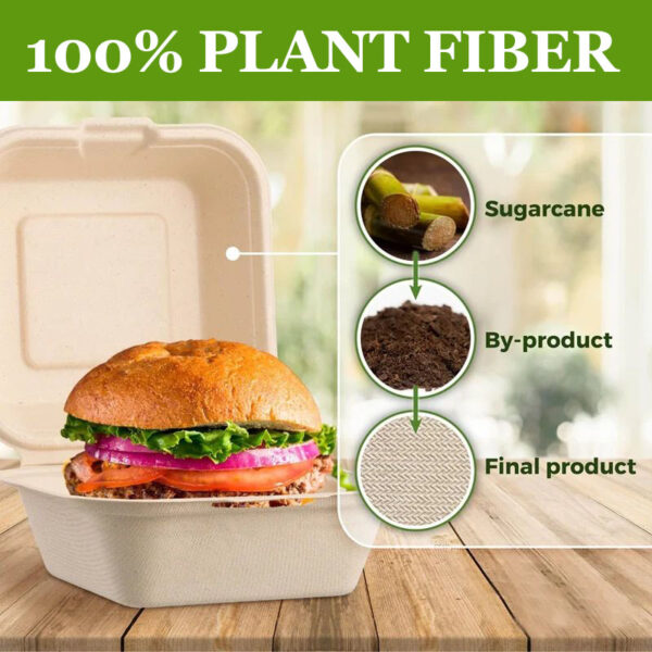 50 PCs 8 X 8 Inch Flip Top Food Containers,Heavy Duty Hinged Containers,Disposable Bagasse Eco Friendly Natural Take Out Boxes - Image 4