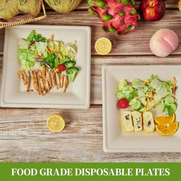 50 pcs Eco-Friendly Bagasse Disposable Food Containers - Heavy Duty Square Plate Natural Brown 20.32cm - Image 3