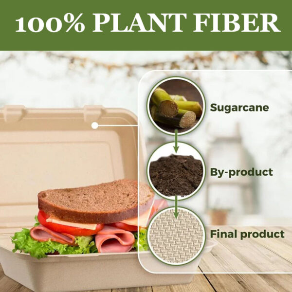 50 pcs Harvest Pack 9 X 6 inch Square Hinged Containers,Flip Top Take Out Boxes,Heavy Duty Bagasse Food Containers - Image 3