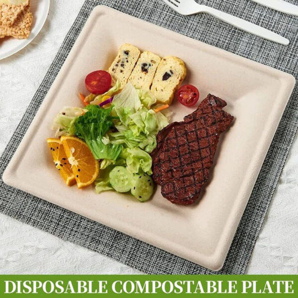 50 pcs Eco-Friendly Bagasse Disposable Food Containers - Heavy Duty Square Plate Natural Brown 20.32cm - Image 2