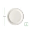 50 pcs 9 inch 100% Biodegradable Eco Friendly Organic Sugarcane Pulp Bagasse Dry Fruit Salad Plate - Image 2