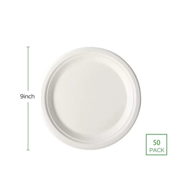 50 pcs 9 inch 100% Biodegradable Eco Friendly Organic Sugarcane Pulp Bagasse Dry Fruit Salad Plate - Image 2
