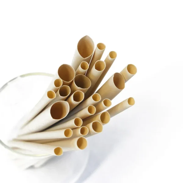 100 Pack 6x210mm Straws with Angled and Straight Tips, Made from Biodegradable Bamboo Fiber, Ideal for Coffee, Milk tea - Image 5