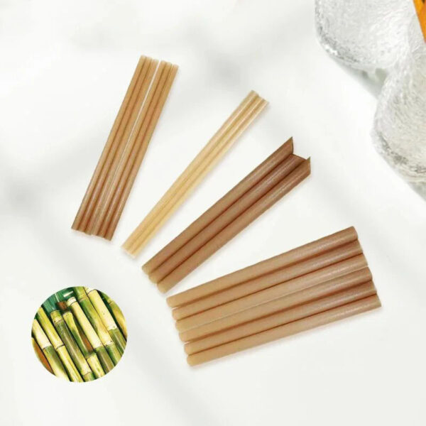 Eco-Friendly Sugarcane Straws with PLA Disposable and Compostable Properties - Image 4