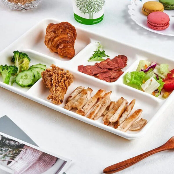 5 grid plates,25 disposable paper plates, heavy duty biodegradable sugarcane trays, eco-friendly school lunch trays - Image 3