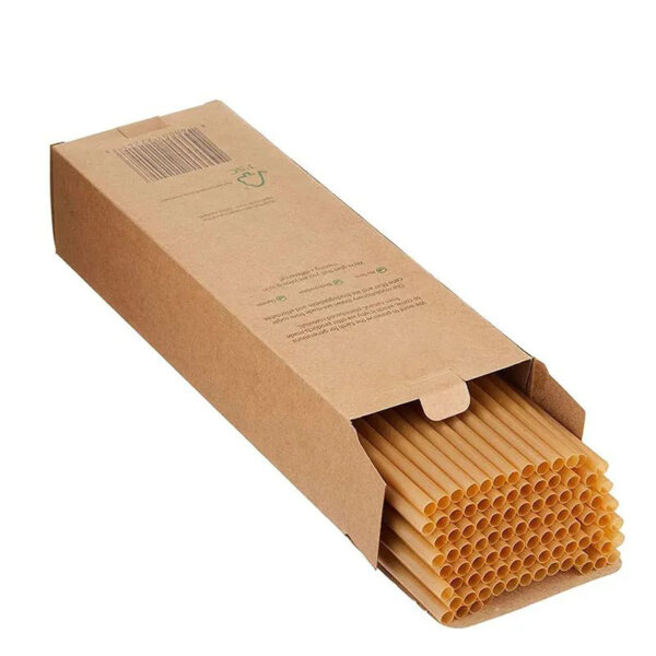 Eco-Friendly Sugarcane Straws with PLA Disposable and Compostable Properties
