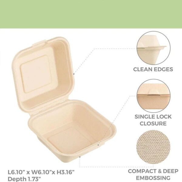50 pcs Harvest Pack without Square Hinged Container, Single Compartment Flip Top Takeout Container, Heavy Duty Bagasse Container - Image 2
