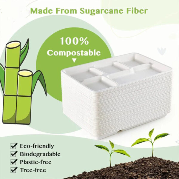 5 grid plates,25 disposable paper plates, heavy duty biodegradable sugarcane trays, eco-friendly school lunch trays - Image 4