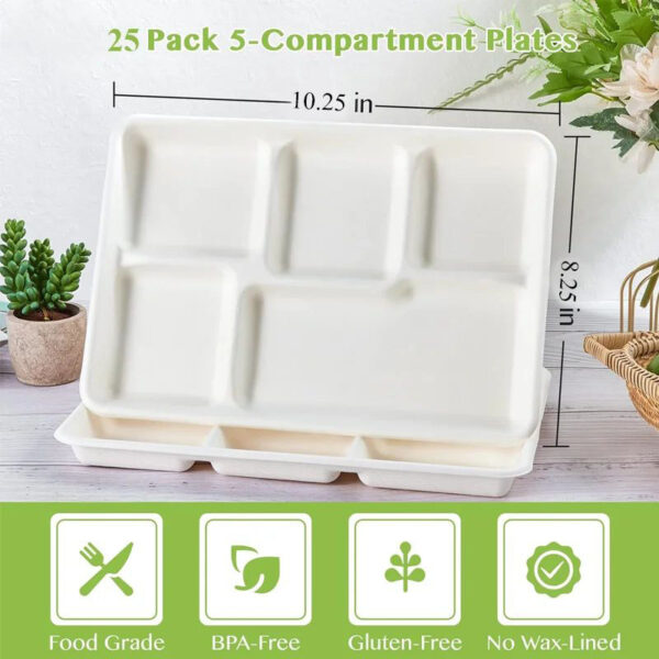 5 grid plates,25 disposable paper plates, heavy duty biodegradable sugarcane trays, eco-friendly school lunch trays - Image 6