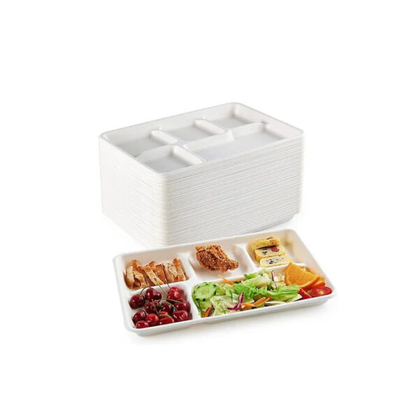 5 grid plates,25 disposable paper plates, heavy duty biodegradable sugarcane trays, eco-friendly school lunch trays