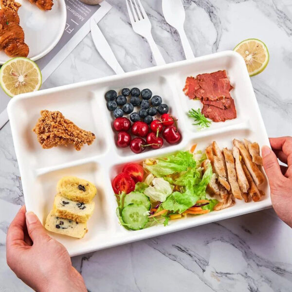 5 grid plates,25 disposable paper plates, heavy duty biodegradable sugarcane trays, eco-friendly school lunch trays - Image 5