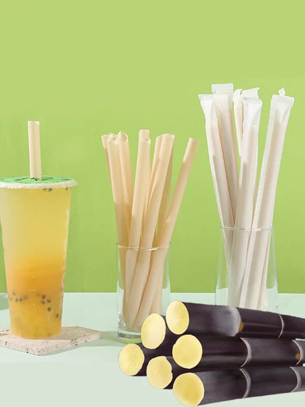 Eco-Friendly Sugarcane Straws with PLA Disposable and Compostable Properties - Image 6