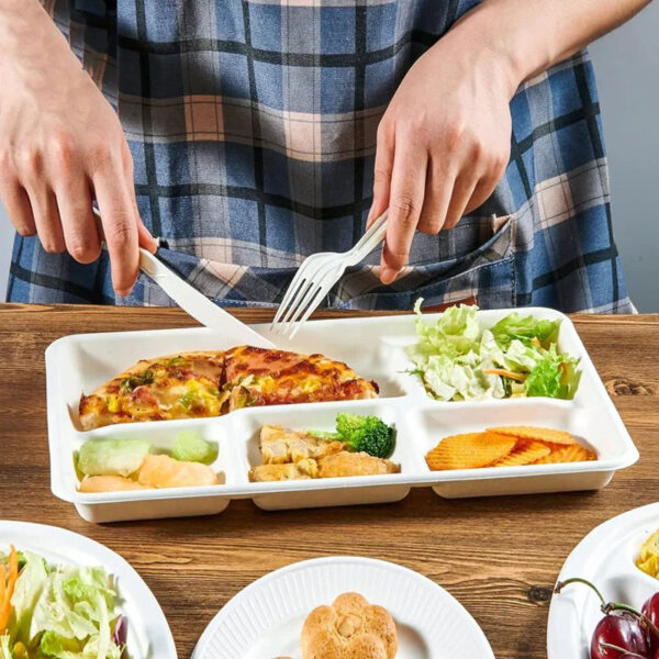 5 grid plates,25 disposable paper plates, heavy duty biodegradable sugarcane trays, eco-friendly school lunch trays - Image 2