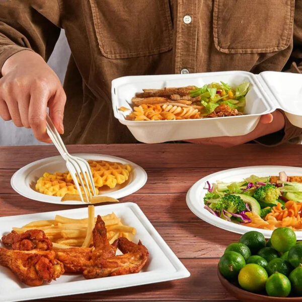 25 8X8 inch clamshell food containers,100% compostable disposable portable containers, heavy duty food boxes - Image 3