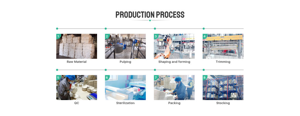 biodegradable production process